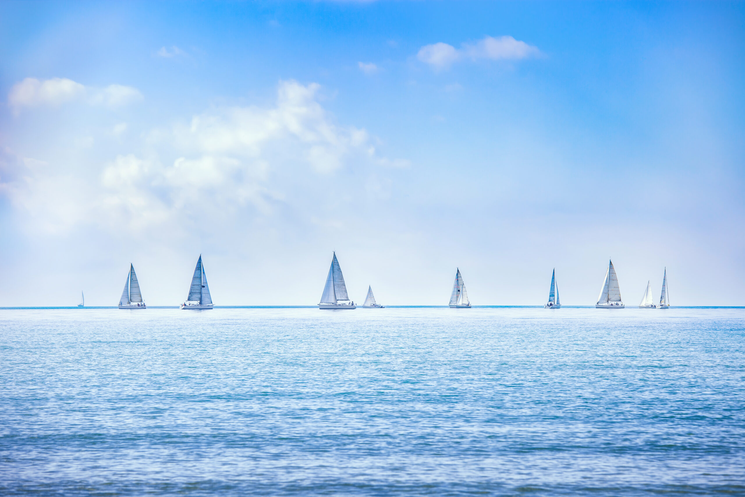 Performance Regattas Team